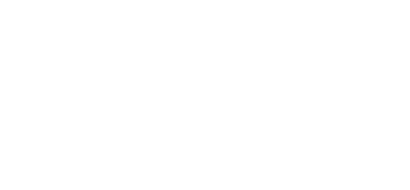 Garmin Logo With Delta White Low Res