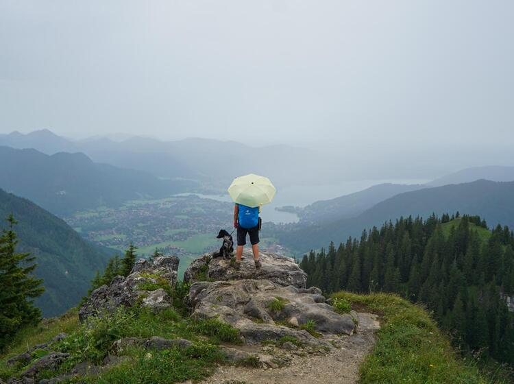 Drei-Seen-Runde | Wandern Schliersee - Spitzingsee - Tegernsee